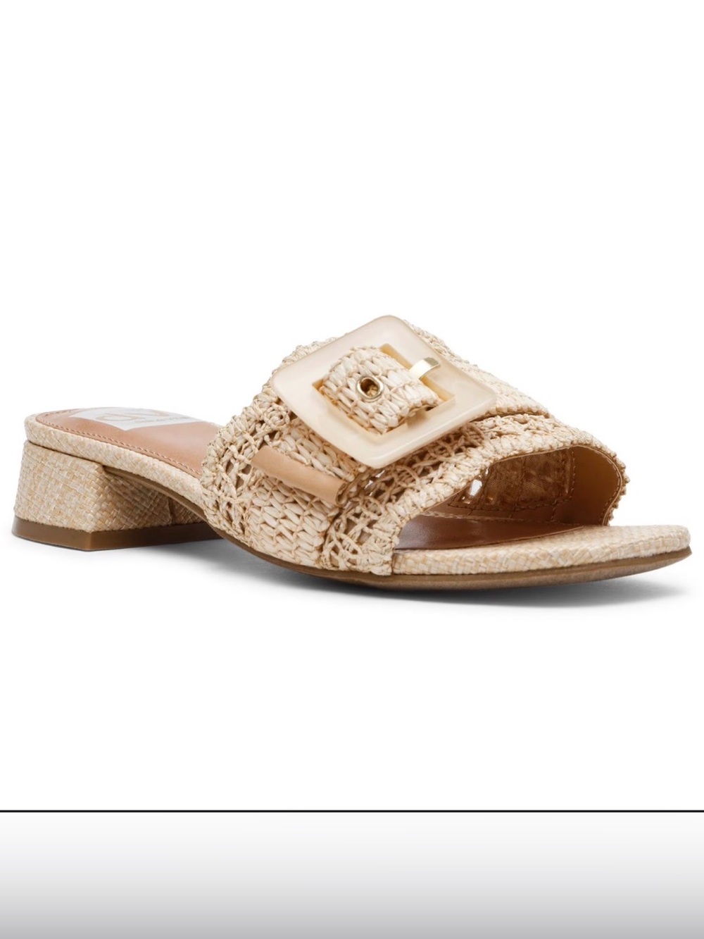 Dolce Vita Woven Buckle Slide Sandal in Natural